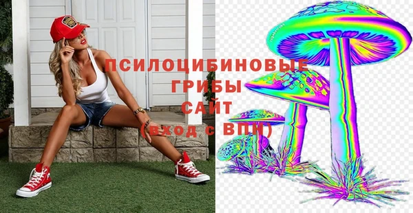 стаф Новозыбков