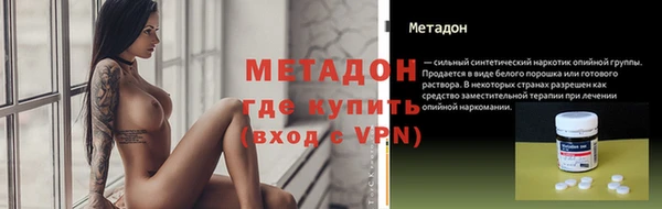 стаф Новозыбков