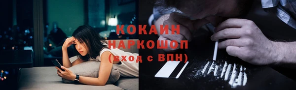 стаф Новозыбков
