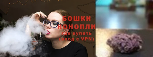 молекула духа Новодвинск